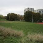 zdjęcie nr 14
