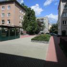 zdjęcie nr 12