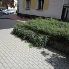 zdjęcie nr 14