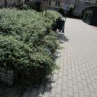 zdjęcie nr 16