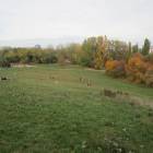 zdjęcie nr 63