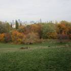 zdjęcie nr 65