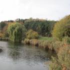 zdjęcie nr 76