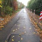 zdjęcie nr 30