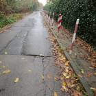 zdjęcie nr 31