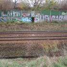 Fotka nr 3 z 12