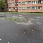 Fotka nr 2 z 7