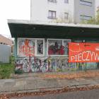 Fotka nr 2 z 13