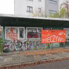 Fotka nr 4 z 13