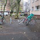 zdjęcie nr 9