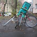 zdjęcie nr 10
