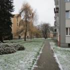 Fotka nr 5 z 22