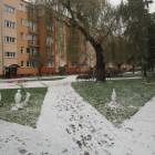 zdjęcie nr 8