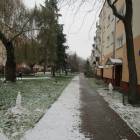 zdjęcie nr 9
