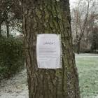 zdjęcie nr 10