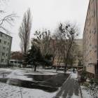 zdjęcie nr 14