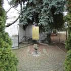 zdjęcie nr 8