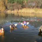 zdjęcie nr 50