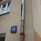 Fotka nr 2 z 4