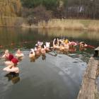 zdjęcie nr 93