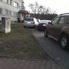 Fotka nr 4 z 7