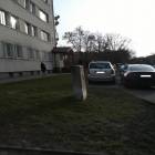 Fotka nr 5 z 7
