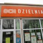 zdjęcie nr 11