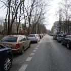 zdjęcie nr 12