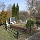 zdjęcie nr 41