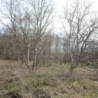 zdjęcie nr 43