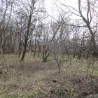 zdjęcie nr 44
