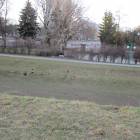 zdjęcie nr 14
