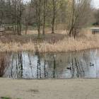 zdjęcie nr 33