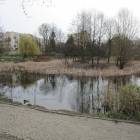 zdjęcie nr 38