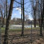zdjęcie nr 15