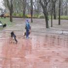 zdjęcie nr 7