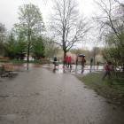 zdjęcie nr 33