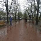 zdjęcie nr 58