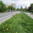 zdjęcie nr 15