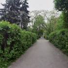 zdjęcie nr 53