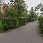 zdjęcie nr 55
