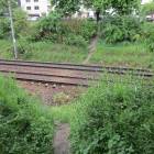 Fotka nr 5 z 10