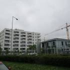 zdjęcie nr 8