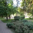 zdjęcie nr 11