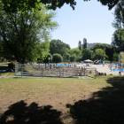 zdjęcie nr 12