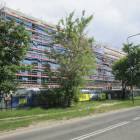 zdjęcie nr 12
