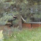 Fotka nr 1 z 22