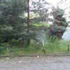 zdjęcie nr 21