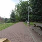 zdjęcie nr 33