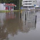 zdjęcie nr 12